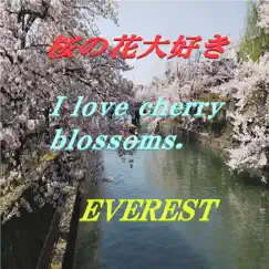 I Love Cherry Blossoms. Song Lyrics