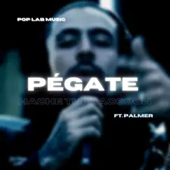 Pégate (feat. Palmer) - Single by Hache Theraccoon album reviews, ratings, credits