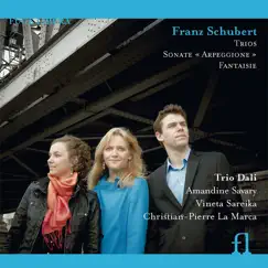Trio No. 1 für Klavier, Violine & Violoncello in B Major, D. 898, Op. 99: III. Scherzo, allegro - Trio Song Lyrics