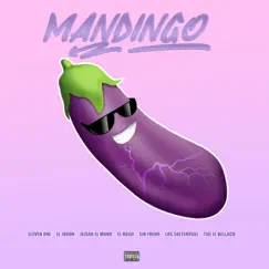Mandingo (feat. El Mega, El Jodon, Los Solteroski, Tief El Bellaco, Jeison el Mono & Sin Freno) Song Lyrics