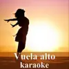Vuela Alto - Single album lyrics, reviews, download