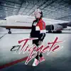 El Tiquete - Single album lyrics, reviews, download