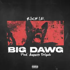Big Dawg - Single by Rich I.E. album reviews, ratings, credits