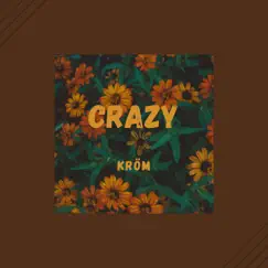 Crazy (feat. Lofi Rain) - Single by Kröm album reviews, ratings, credits