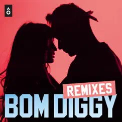 Bom Diggy (Dillon Francis Remix) [feat. Dillon Francis] Song Lyrics