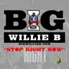 STOP RIGHT NOW (Radio Edit) [Radio Edit] - Single album lyrics, reviews, download