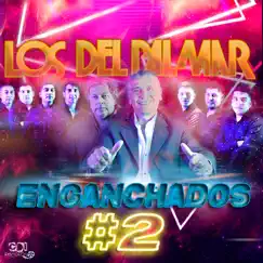 Enganchados Con Sed 2 - Single by Los Del Palmar album reviews, ratings, credits
