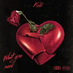 What You Need - Single by Kolé album reviews, ratings, credits