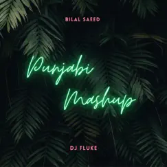 Punjabi Mashup (feat. DJ Fluke) - Single by Bilal Saeed album reviews, ratings, credits