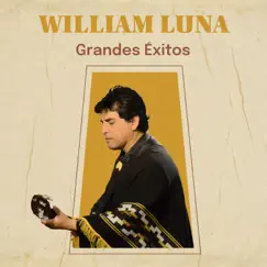 Grandes éxitos by William Luna album reviews, ratings, credits