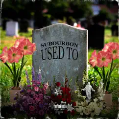 Used To - Single by Subourbon album reviews, ratings, credits