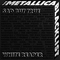 Sad but True - Single by White Reaper album reviews, ratings, credits