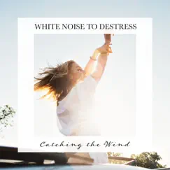 Cacthing the Wind: White Noise to Destress by Carl Brooks album reviews, ratings, credits