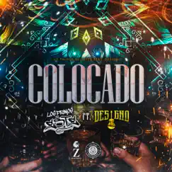 Colocado (feat. Designó) - Single by Los Primos Del Este album reviews, ratings, credits
