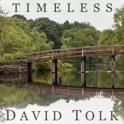 Timeless (feat. Steven Sharp Nelson) - Single by David Tolk album reviews, ratings, credits