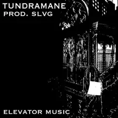 Elevator Music - Single by SLVG & TUNDRAMANE album reviews, ratings, credits