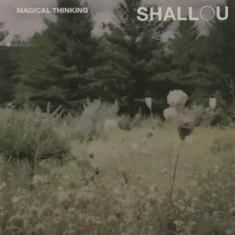 Magical Thinking by Shallou album download