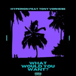 What Would You Want? (feat. Tony Vorhese) Song Lyrics