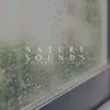 Nature Sounds Window Rain Drops - EP album lyrics, reviews, download