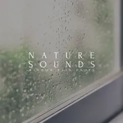 Nature Sounds Window Rain Drops - EP by Natural Sounds Selections, Nature Sound Collection & Zen Sounds album reviews, ratings, credits