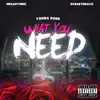 What You Need (feat. Megabyonic & Dc Babydraco) - Single album lyrics, reviews, download