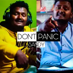 Don't Panic - Single by Sandy album reviews, ratings, credits