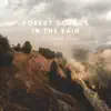 Peaceful Sounds of Forest Rain song lyrics