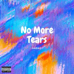 No More Tears Song Lyrics