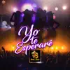Yo Te Esperaré - Single album lyrics, reviews, download