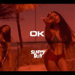 Ok - Single by Slappy Boy album reviews, ratings, credits
