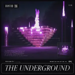 The Underground (Radio Edit) [Radio Edit] - Single by SVNTOZ album reviews, ratings, credits