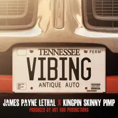 VIBING (feat. Kingpin Skinny Pimp) Song Lyrics