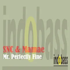 Mr. Perfectly Fine - Single by SNC & Mamae album reviews, ratings, credits