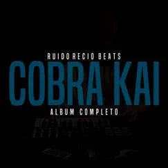 Cobra Kai - EP by Ruido Recio Beats album reviews, ratings, credits