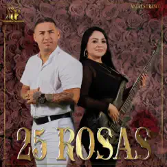 25 Rosas (cover) Song Lyrics