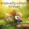 Achtsamkeitsmeditation für Kinder: 30 Healing Musik mit Naturgeräuschen, Solfeggio-Frequenzen, Autogenes Training, Woge der Fantasie, Konzentration album lyrics, reviews, download