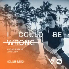 I Could Be Wrong (Club Radio Mix) - Single by Lucas & Steve & Brandy album reviews, ratings, credits