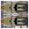 Mr. Sir - Single album lyrics, reviews, download