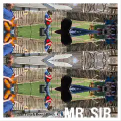 Mr. Sir - Single by Jake Fava & Booth Blues album reviews, ratings, credits