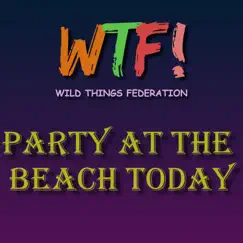 Party at the Beach Today - Single by Wild Things Federation album reviews, ratings, credits