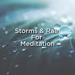 Storms & Rain for Meditation by Thunderstorm Sound Bank & Thunderstorms album reviews, ratings, credits