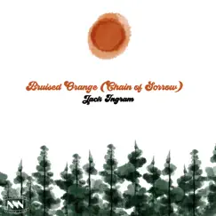 Bruised Orange (Chain of Sorrow) - Single by Jack Ingram album reviews, ratings, credits