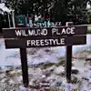 Dub P Freestyle - Single album lyrics, reviews, download