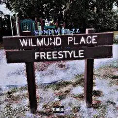 Dub P Freestyle - Single by SoNoWillzz album reviews, ratings, credits