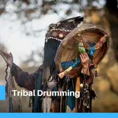 Tribal Drumming, Shamanic Music and Chants by Relax Shaman Music album reviews, ratings, credits