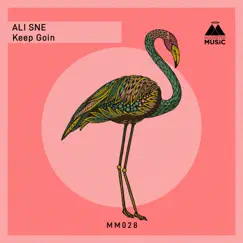 Keep Goin - Single by Ali Sne album reviews, ratings, credits