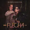Flecha - Single album lyrics, reviews, download