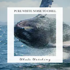 Whale Watching: Pure White Noise to Chill by Tom Green album reviews, ratings, credits