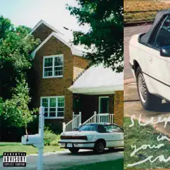 Sleeping In Your Car - Single by Sullii album reviews, ratings, credits