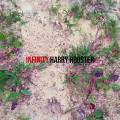 Infinity - Single by Harry Rooster album reviews, ratings, credits